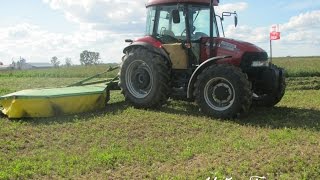 Cięcie Lucerny 2016 Kejsiorek Team