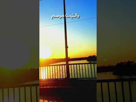 المواسم شعراء الشعر الشعبي عريات السيد خلف