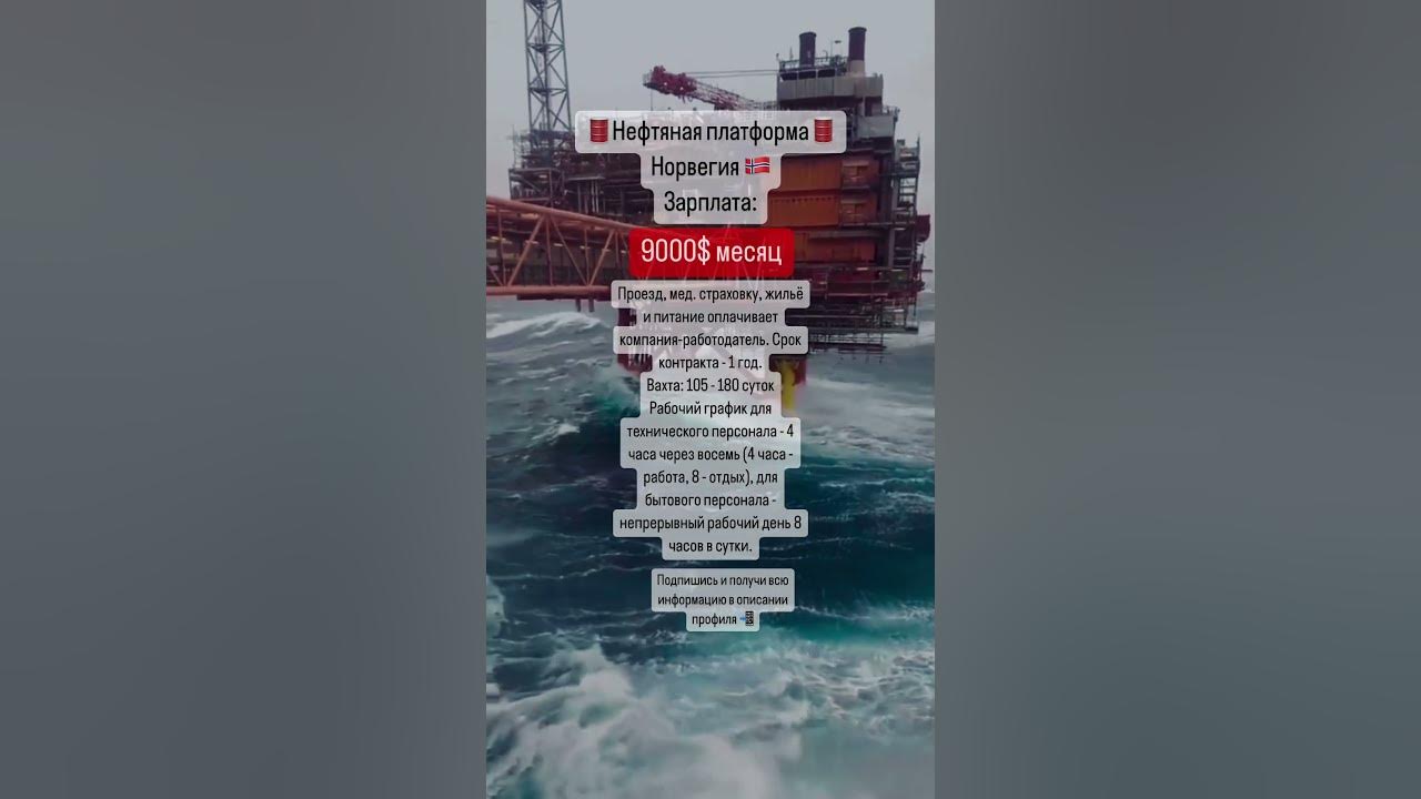 все вакансии реальные, контакты в телеграмм канале https://t.me ...