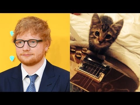 Ed Sheeran Mourns the Death of His Cat Graham