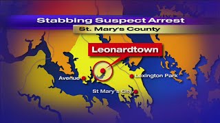 Man Accused Of Stabbing Roommate Was Arrested