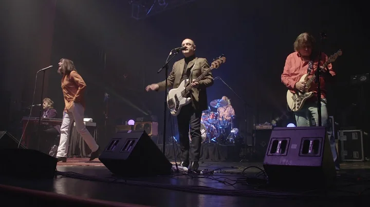 The Seeds - Alive and Raw 2017 - live