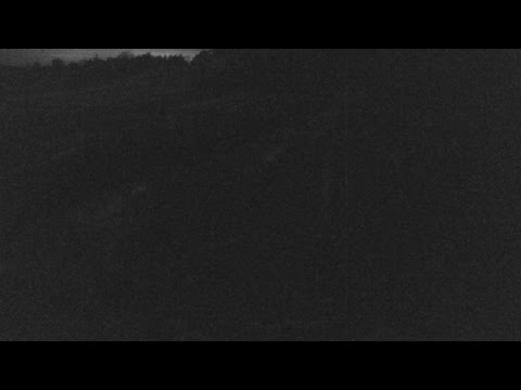 camera iphone 8 plus apk Cape Cod Museum of Natural History Live Stream