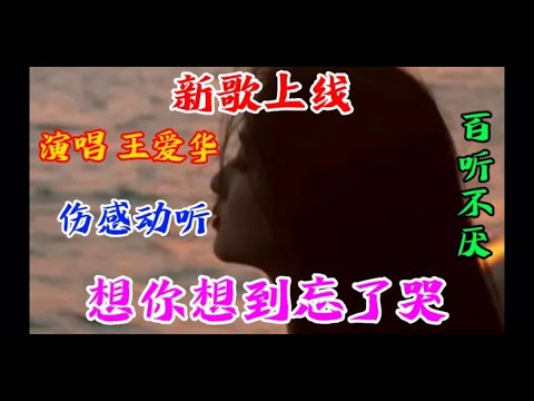 新歌分享 王爱华一首 想你想到忘了哭 优美的旋律 动听的歌声【贵州周洪】