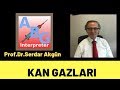 ARTERİYEL KAN GAZLARI, SERDAR AKGÜN