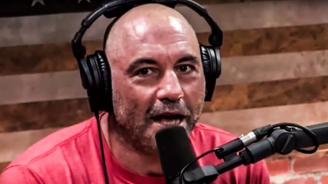 Rogan Says Sam Treats Dave Rubin Like A 'Wounded Antelope' - YouTube