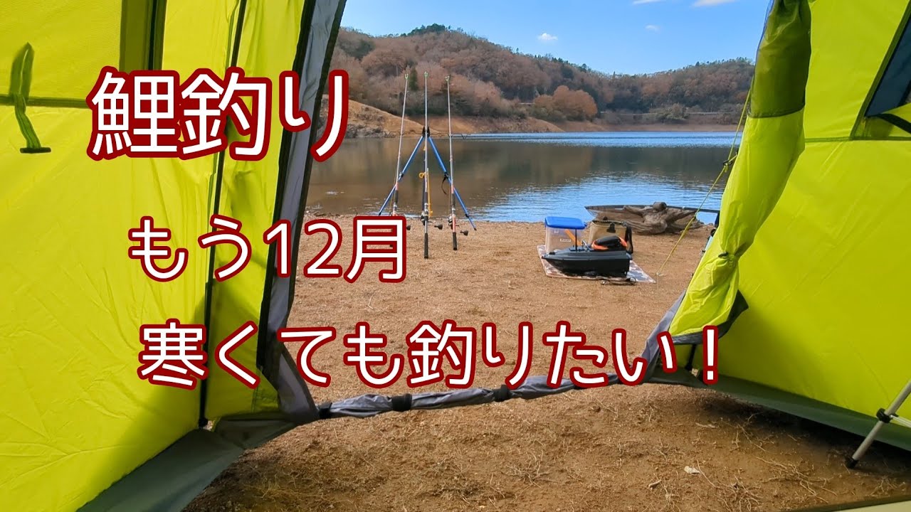 【＃鯉釣り】12月、冬の鯉釣り突入です！