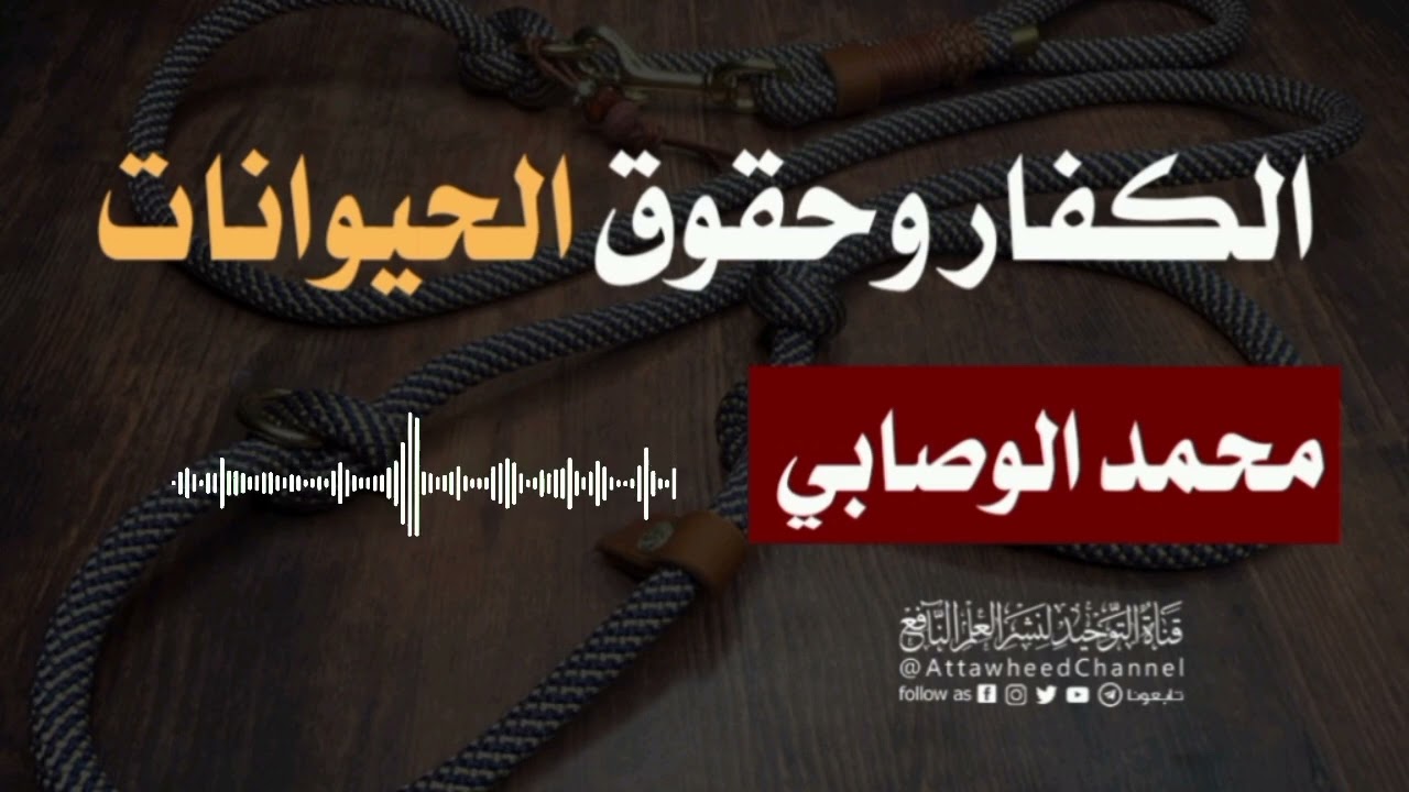 حقوق الحيوانات _ محمد بن عبد الوهاب الوصابي رحمه الله