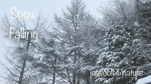 Slow Motion Snow Falling Meditation With Music