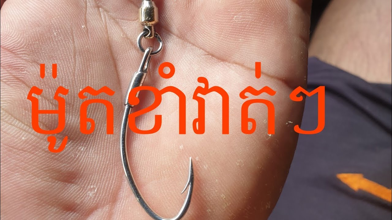 របៀបធ្វេីម៉ូតផ្លែបបក់ត្រីឆាប់ចូល