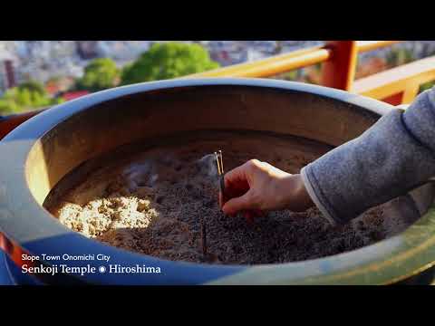 株式会社ニューステラ