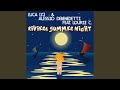 Riviera Summer Night (feat. Lourie C.) (Radio Edit)