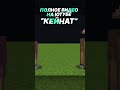 Я Поймал Самого Редкого Моба в Майнкрафте! - 1