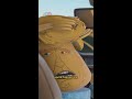 What REALLY Happens When Trump Speaks