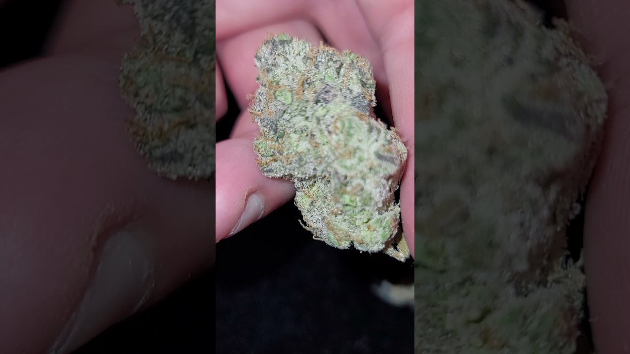 🐌🐌🐌🐌🐌CONNECTED SLOW LANE STRAIN INDOOR 🐢🐢🐢🐢🐢