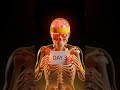 What 30 Days of No Sleep Does to You #youtubeshorts #nosleep#humanbody#survival#darkfacts #facts
