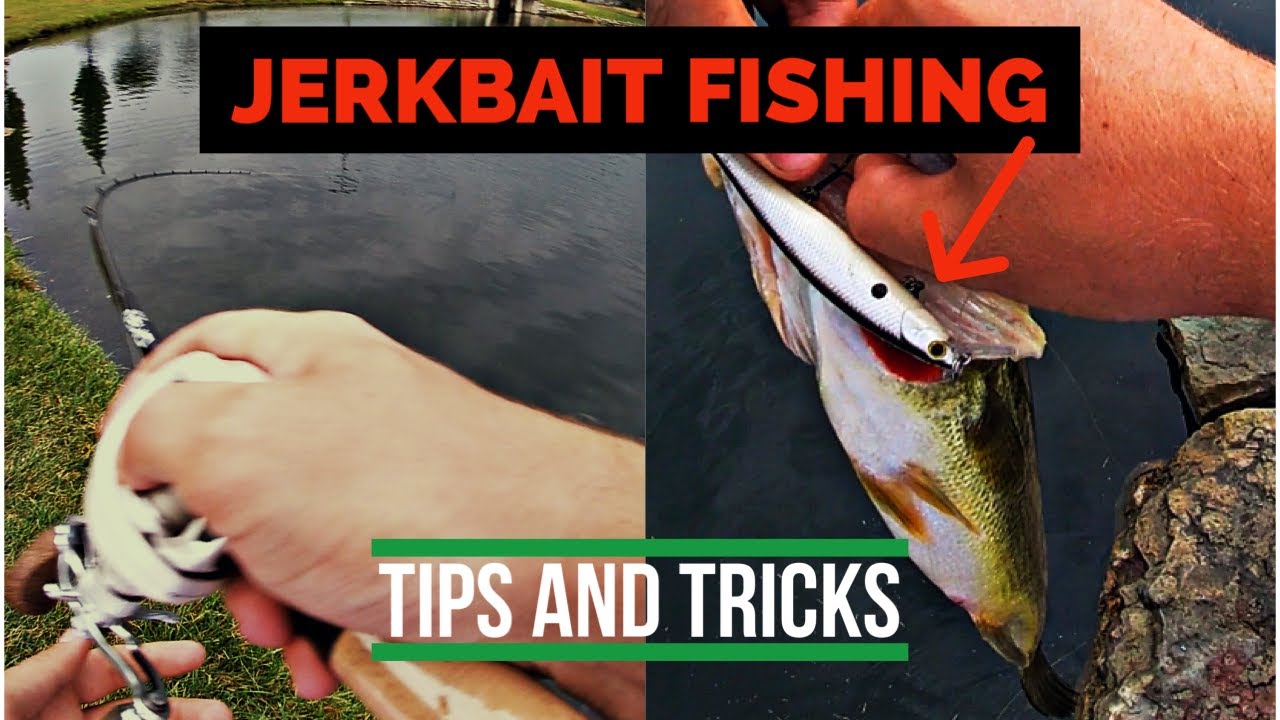 Catching Big Pond Bass on Lucky Craft Jerkbaits I Jerkbait tips