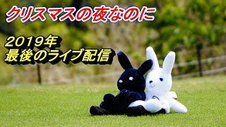 ２０１９年最後のライブ配信☆クリスマスプレゼントも...？？