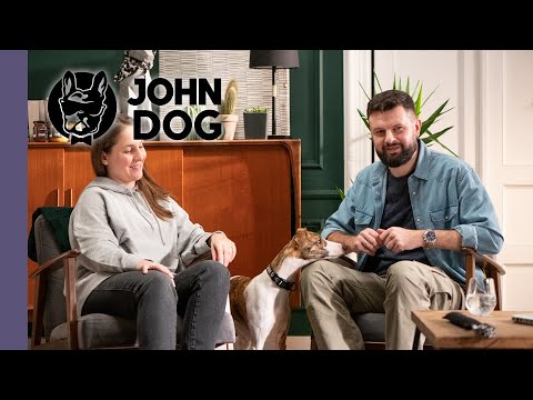 Case study - pies domaga się uwagi. Jak oduczyć takiego zachowania? - TRENING PSA - John Dog
