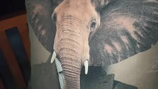 Balkon Eti̇ler İnceleme