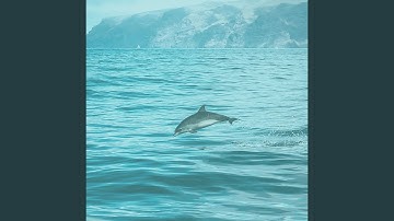 Thrilling Backdrops for Beaches