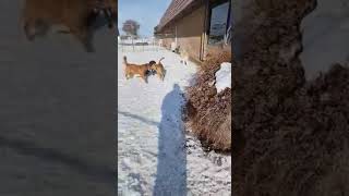 January 24, 2023 Information