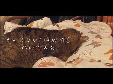 そっけない/RADWIMPS cover…天邑