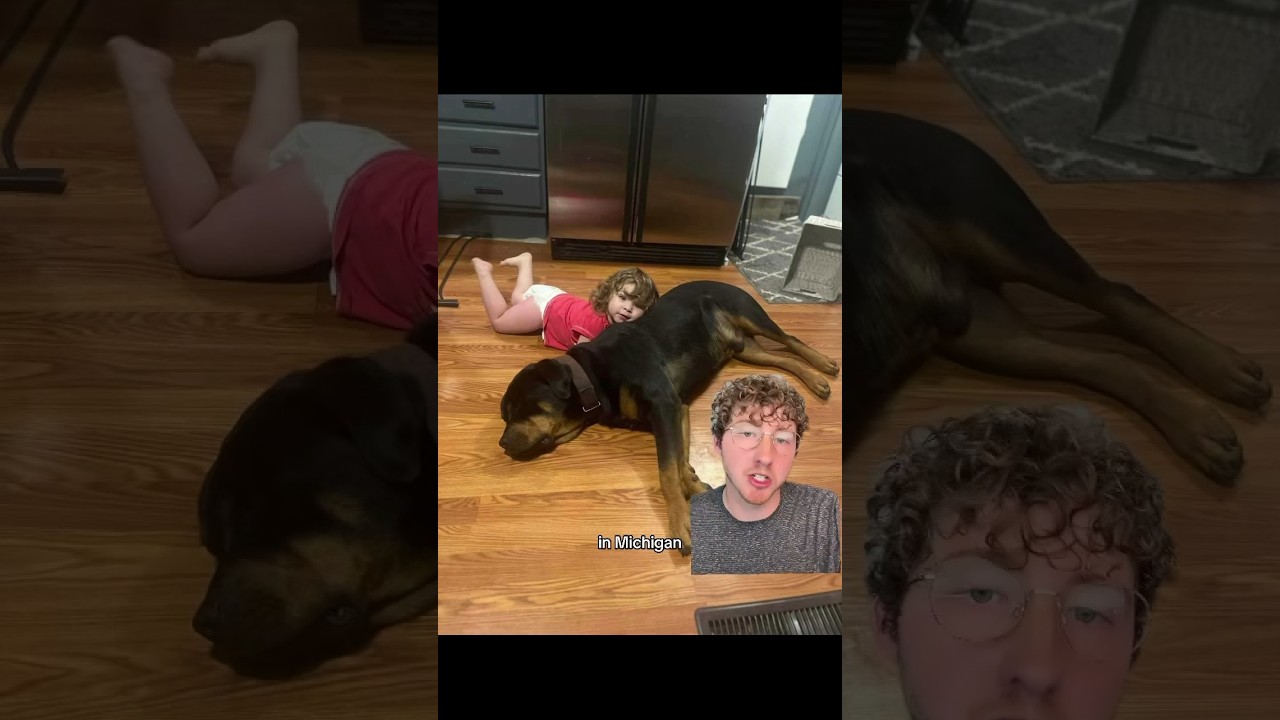 Missing Toddler Found Asleep in the Woods Using Dog as Pillow