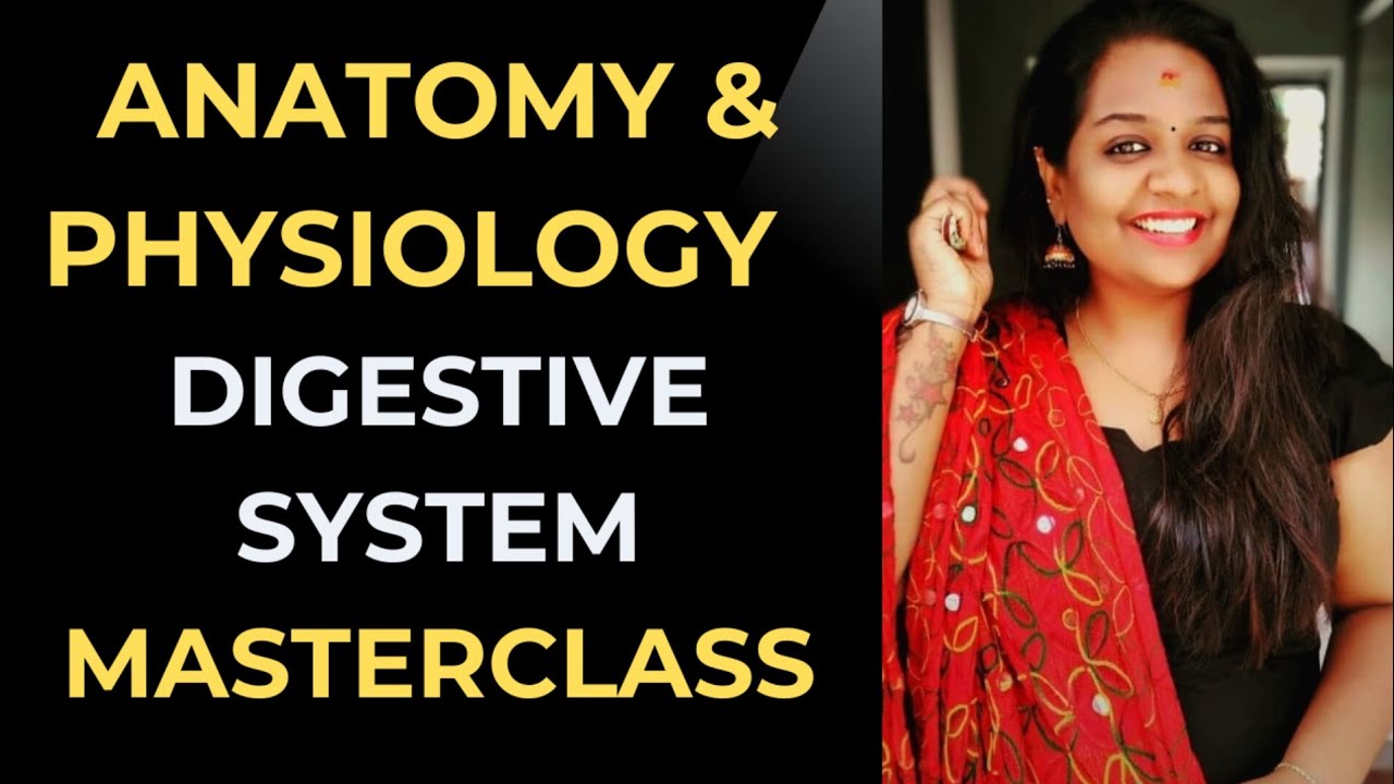 Digestive System Anatomy & Physiology for Medical Coding | Learn with Dhanya