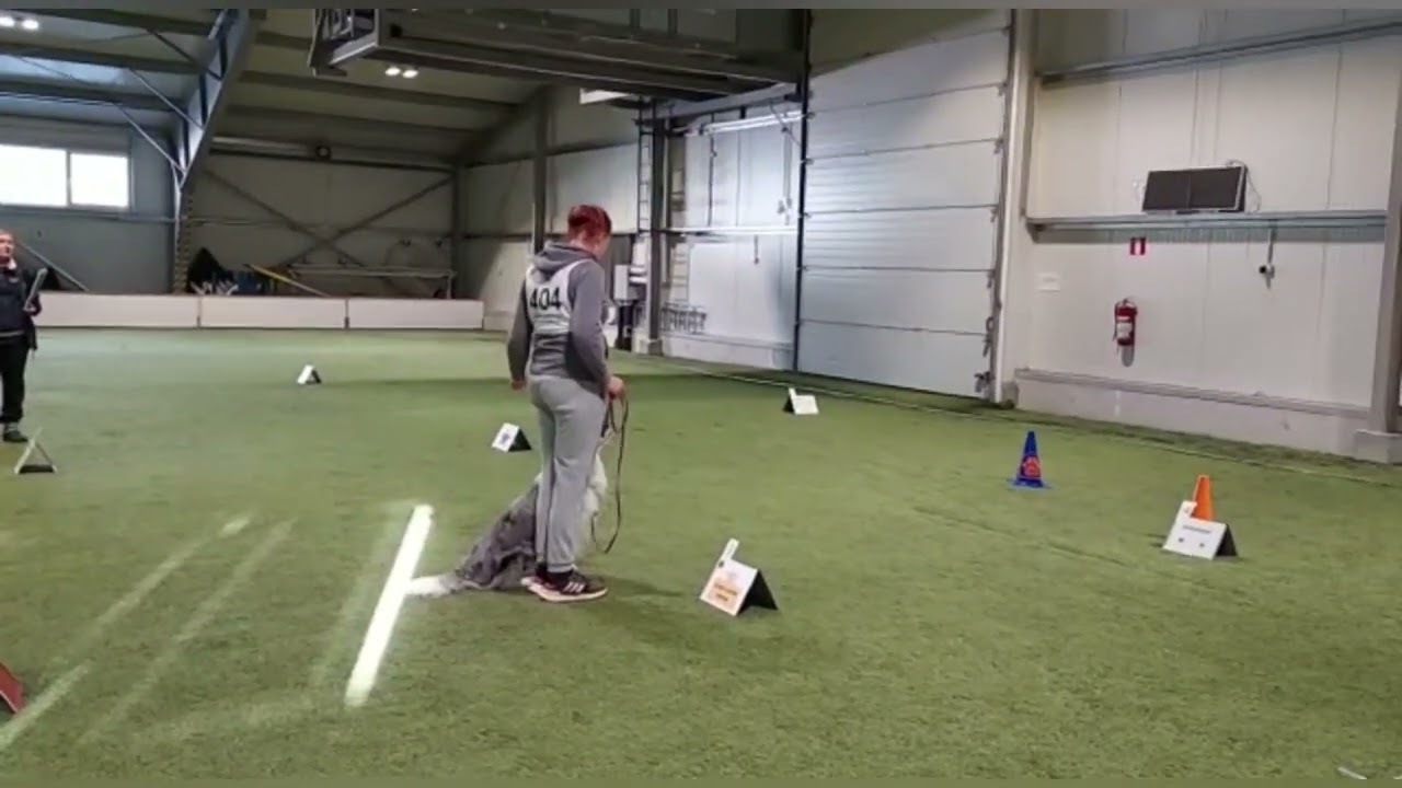 Boltin rally-tokon alokas luokka