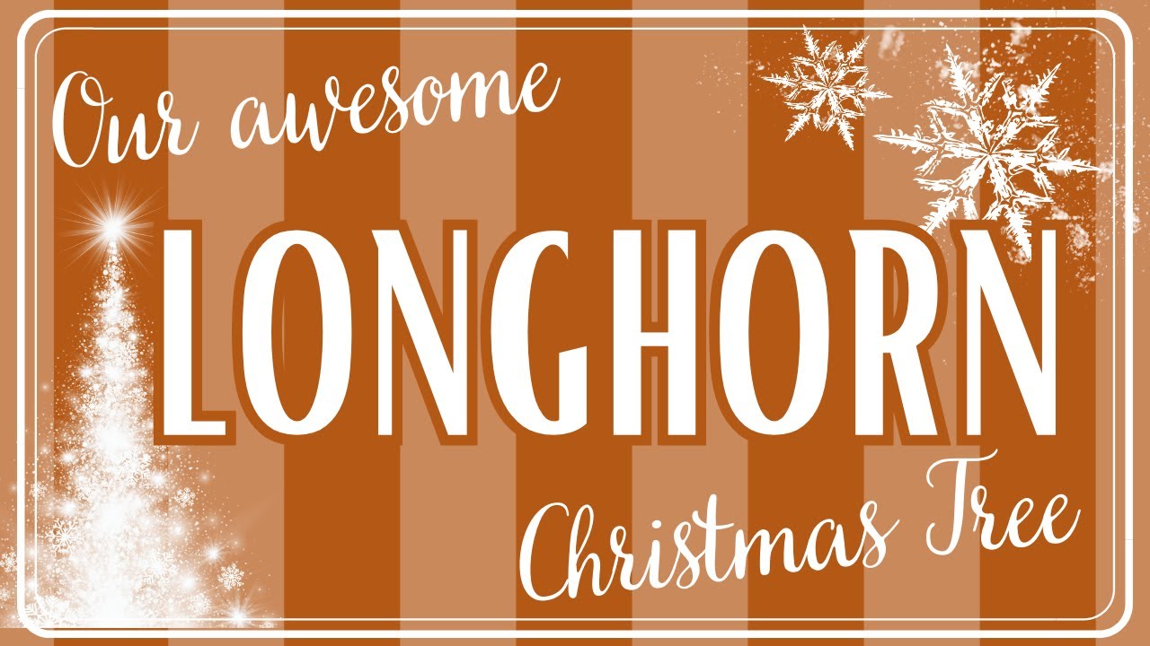 Our Longhorn Christmas Tree YouTube