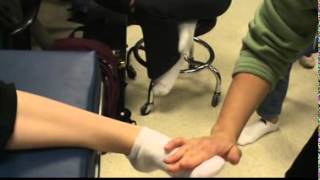 Ankle Strengthening Concentric Eccentric PNF KS