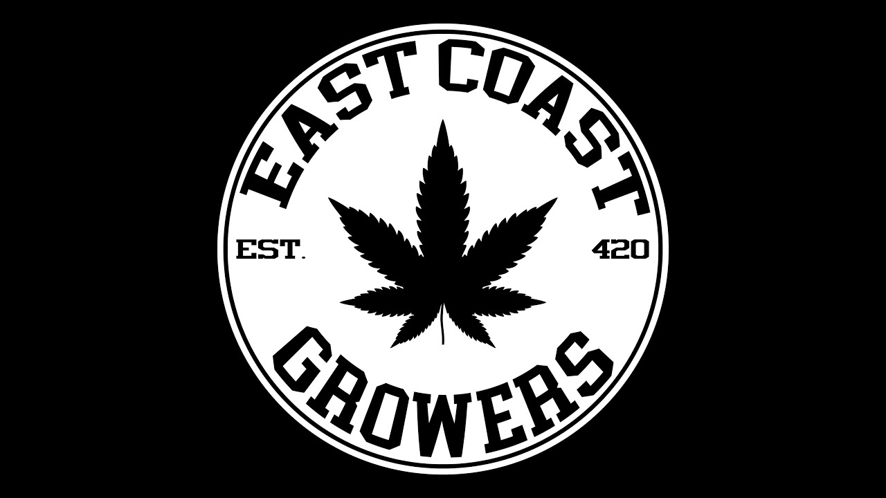 AUTOFLOWERS --- AUTO DARK PURPLE Fr. DELICIOUS SEEDS & AUTO MINIGUN FROM SEEDSMAN SEEDS. ENJOY!!