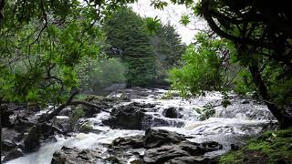 Forest Waterfall Nature Sounds for Calming Sleeping - Natural 8hr River Water Flowing Relaxing Sound