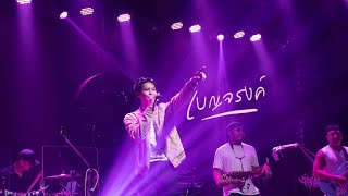 พบกันใหม่ | วง เบญจรงค์ Cover Band