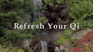 Refresh Your Qi