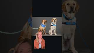 From prison training to life-changing service #SecondChances #ServiceDogs  #ChildAdvocacy #Georgia