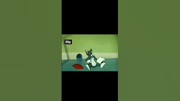 Before Math Exam Status #tomandjerryexammemes