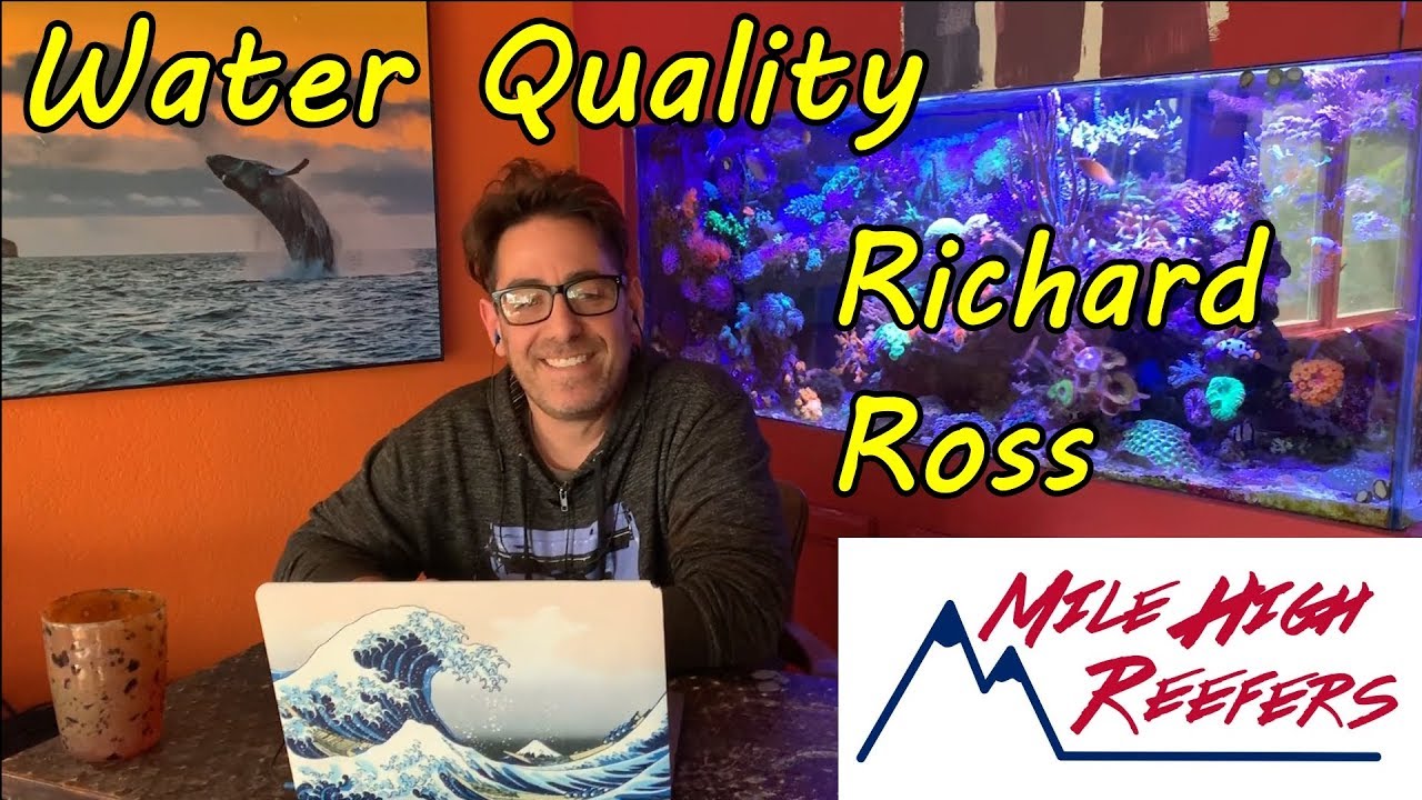 Reef Tank Water Quality Check Frequency Reference: Reef Tank Water Quality With Richard Ross