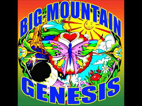BIG MOUNTAIN - 