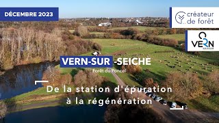 Création Dune Forêt À Vern Sur Seiche - Créateur De Forêt