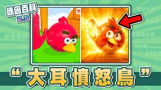 最短的一集⚡️⚡️⚡️！“大耳憤怒鳥/Angry Bird Ear”是什麼迷因？【迷因百科】#憤怒鳥 #AngryBirdEar #TalkingRed #抽象 #雷霆 #meme #迷因 #梗圖