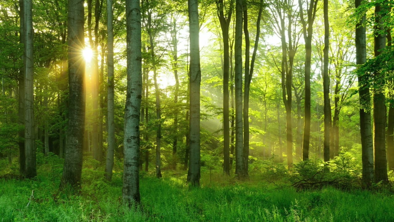 Matinal para Colportores, 6 de marzo