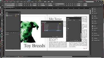 Adobe InDesign CS6 Revealed, Chapter 10, Lesson 4, Part 1