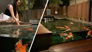 Amazing Koi Villa & Koi Pond Collection **TOUR** Amazing Koi Villa & Koi Pond Collection **TOUR**