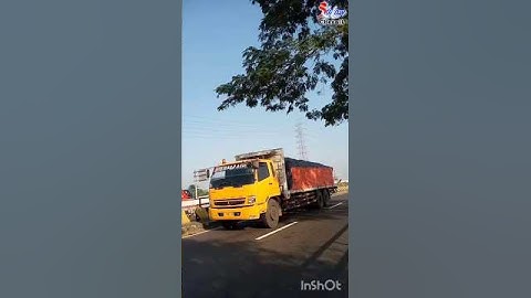 Fuso Truck #shorts #truck #bus #bismania #xalamchennil