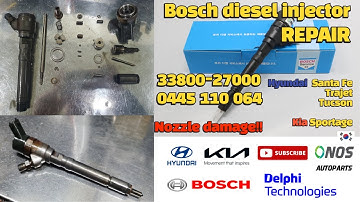 Bosch diesel injector  Repair / Santa fe Trajet 3380027000 0445110064