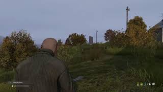 Dayz online