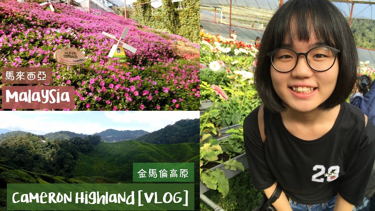 金馬倫高原 Cameron Highland | Malaysia Vlog