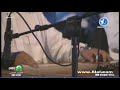 طلال مداح منهو حبيبك حفل درة العروس 2000 